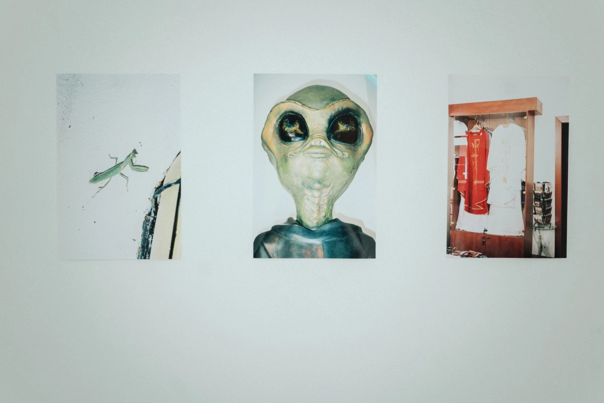 540696908 756474300358636 2560557637110159262 n